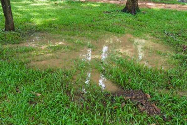 Cost of Storm Water Drainage Service in Bellevue