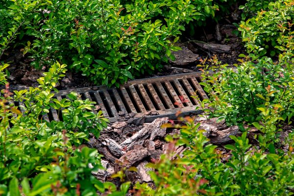 Cost of Underground Drainage Service in Bellevue