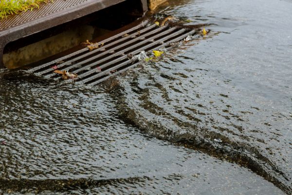 Cost of Storm Drainage Service in Bellevue