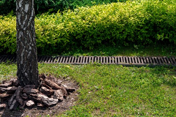 Cost of Yard Water Redirection in Bellevue