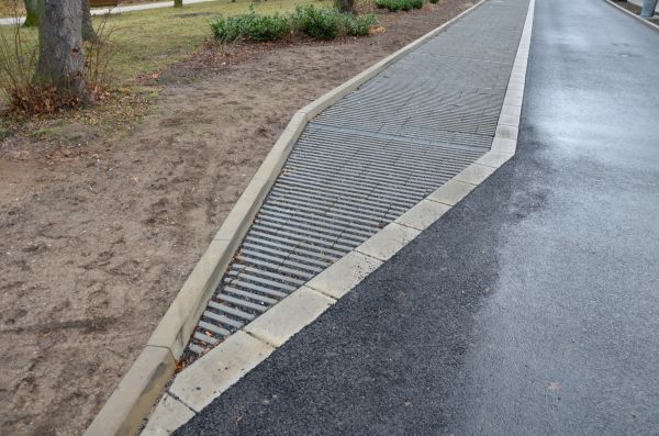 Cost of Muddy Yard Drainage in Bellevue
