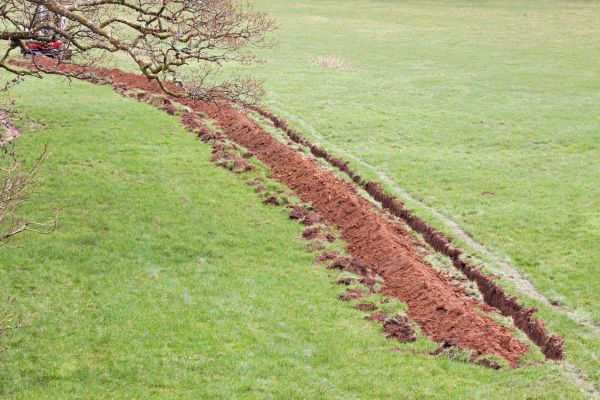 Cost of Swale Installation in Bellevue