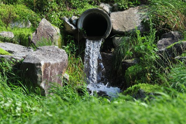 Cost of Water Redirection in Bellevue
