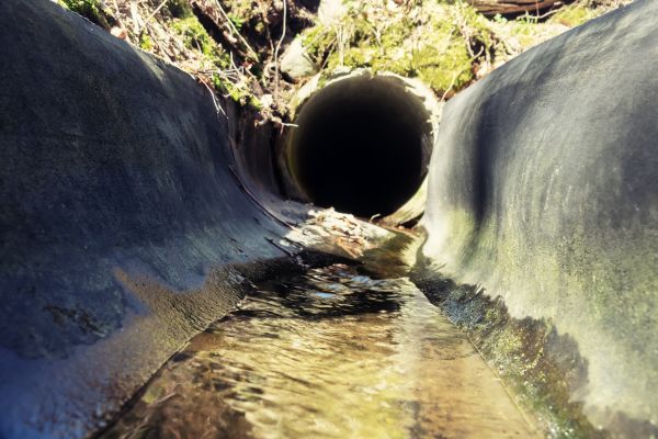 Drainage Swale Installation in Bellevue