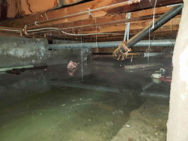 Cost of Crawlspace Drainage in Bellevue
