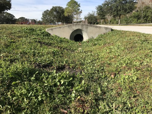Cost of Swale Drainage Service in Bellevue