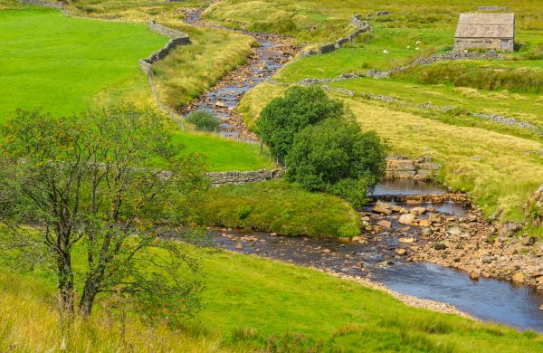 Cost of Swale Repair in Bellevue